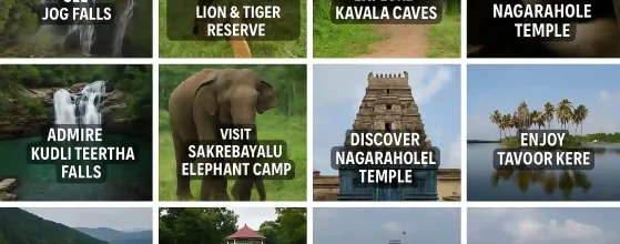 10 Things to Do in Shivamogga