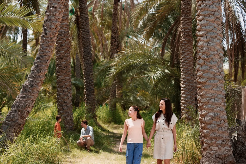 10 Things to Do in Al Ain: Discover the Garden City of the UAE 10 Things to Do in Al Ain