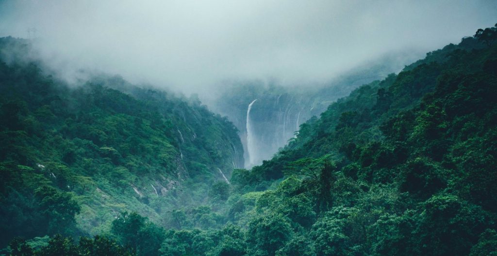 Things to Do in Kodachadri
