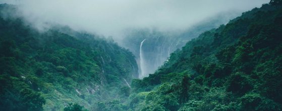 Things to Do in Kodachadri