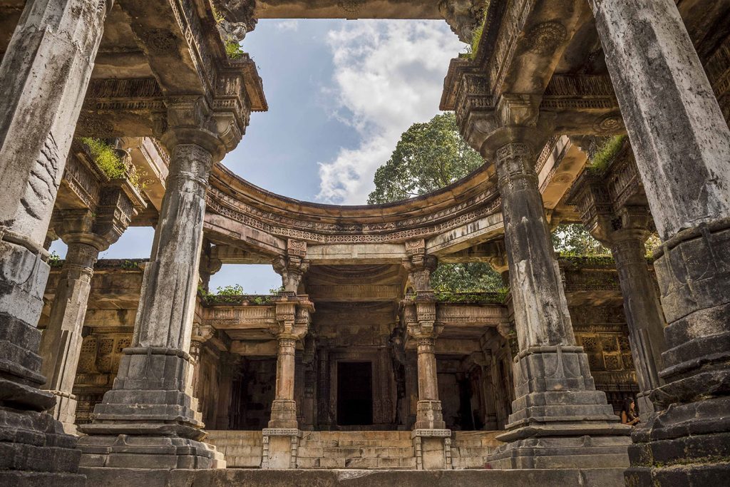 Things to Do in Polo Forest: A Hidden Gem for Nature & History Lovers Things to Do in Polo Forest