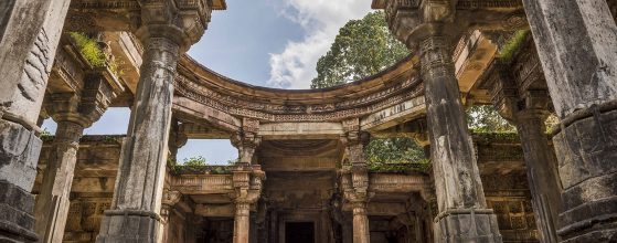 Things to Do in Polo Forest