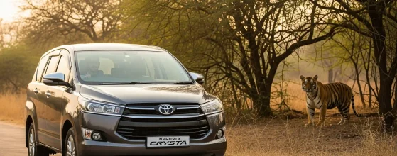 Best Time to Visit Ranthambore