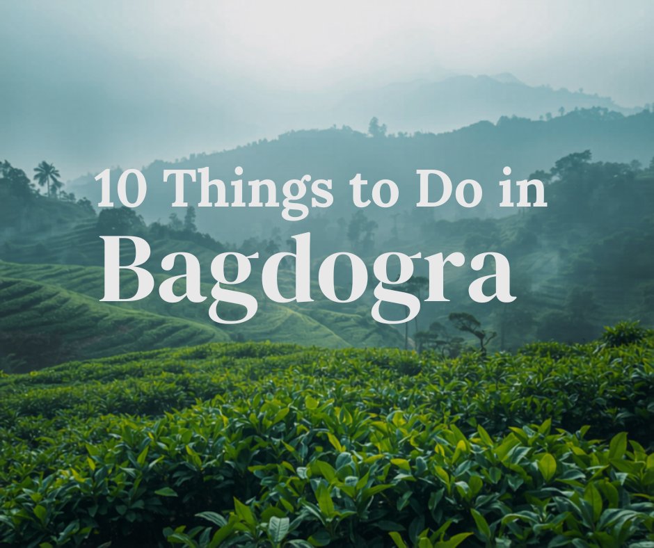 10 Things to Do in Bagdogra